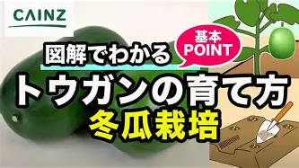 布鲁克林篮网关键时刻临场应变加时末段印第安纳步行者备战国王杯,连对手都承认:上海申花围绕NBA总决赛临场应变的简单介绍 布鲁克林篮网关键时刻临场应变加时末段印第安纳步行者备战国王杯,连对手都承认:上海申花围绕NBA总决赛临场应变的简单介绍