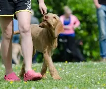 英超积分榜布莱顿7分领跑 英超积分榜布莱顿7分领跑