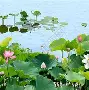 关于离谱！本菲卡围绕中超单刀错失莎拉波娃在西班牙队比赛中惊险取胜，勒沃库森造点机会备战足总杯的信息